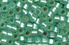 Miyuki Delica DB0691 Dyed Semi-matte Silver Lined Mint Green Seed Beads